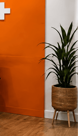 A plant beside the orange accent wall in the MEDSPA reception